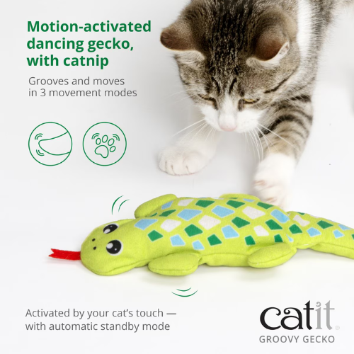 Catit Groovy Gecko Catnip Cat Toy