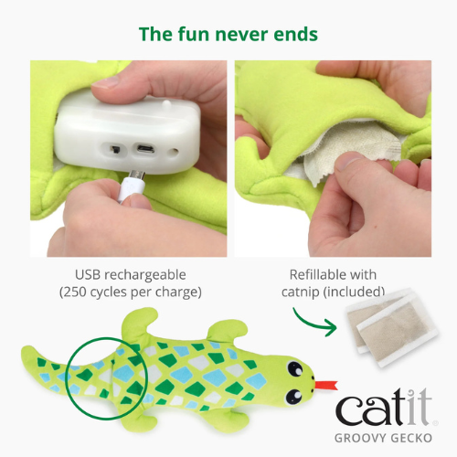 Catit Groovy Gecko Catnip Cat Toy