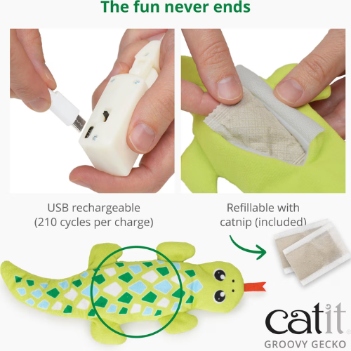 Catit Groovy Gecko Catnip Cat Toy