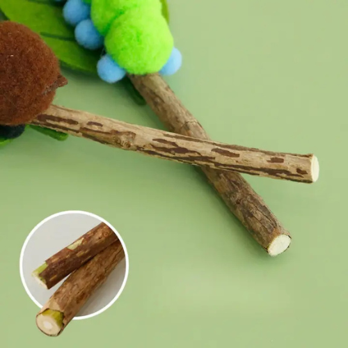 Cheerhunting Moo Insect Themed Chew Cat Toy