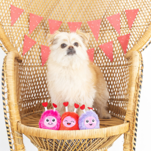 Pet Shop by Fringe Studio Love Connection 3 Piece Set Small Dog Toy - Mutts & Co.