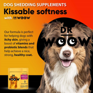 DR WOOW Wild Caught Salmon Flavo Soft Chew Skin & Coat Supplement for Dogs, 90 Count