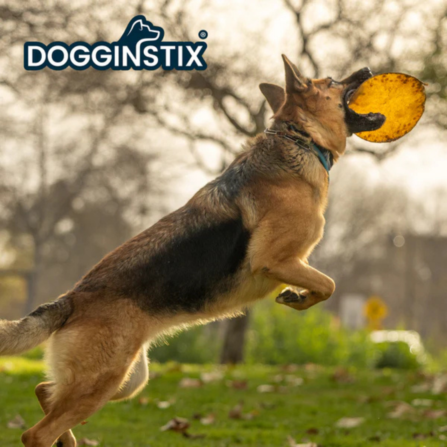 Large dog jumping outdoors while catching a round yellow Dogginstix chew in its mouth, with trees and grass in the background and the Dogginstix logo in the top corner.