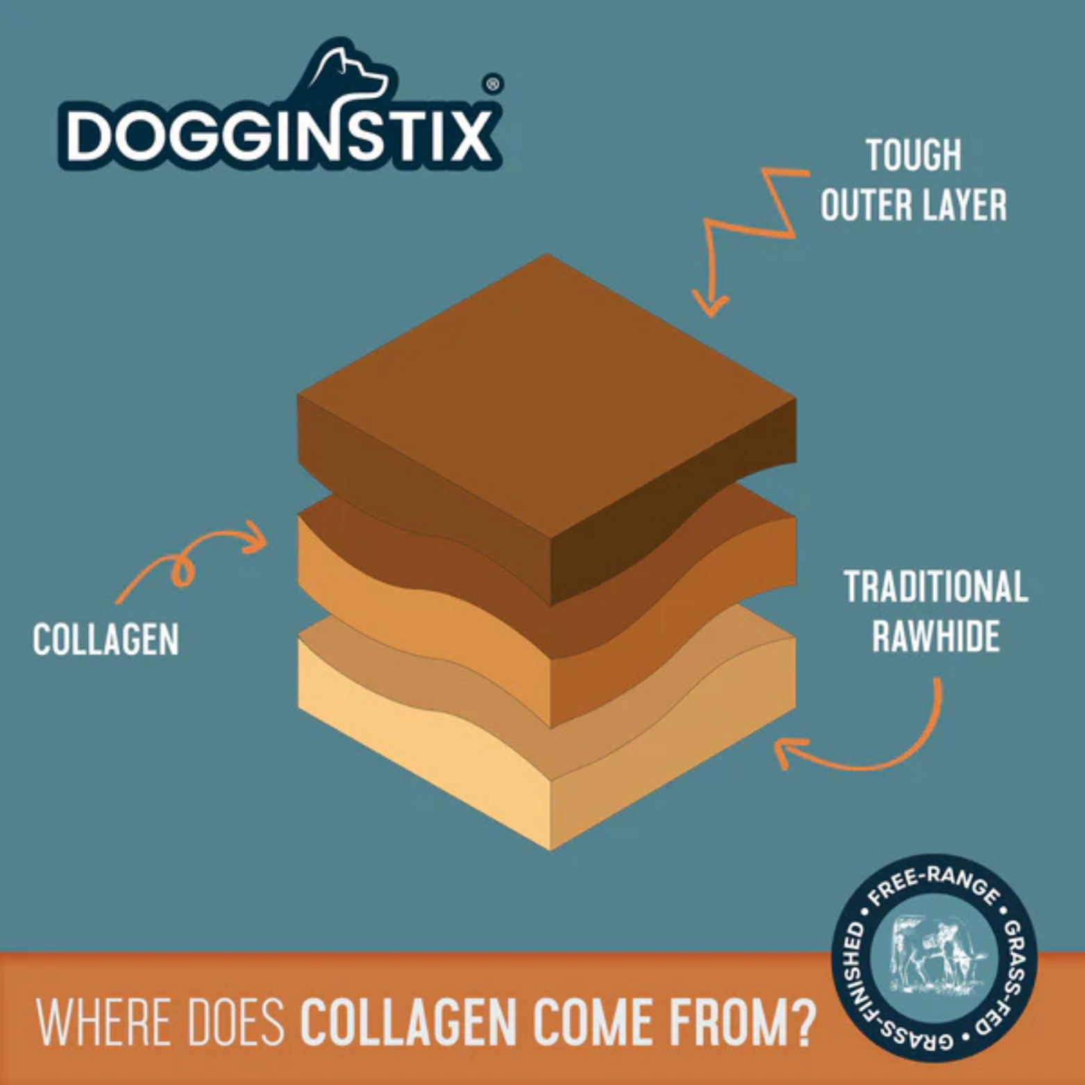 Illustration showing the layered structure of a Dogginstix chew, with labels pointing to a tough outer layer, collagen layer, and traditional rawhide layer, explaining where collagen comes from.