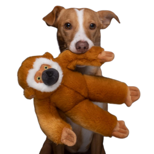 Fluff & Tuff Marcel the Monkey 13" Plush Dog Toy
