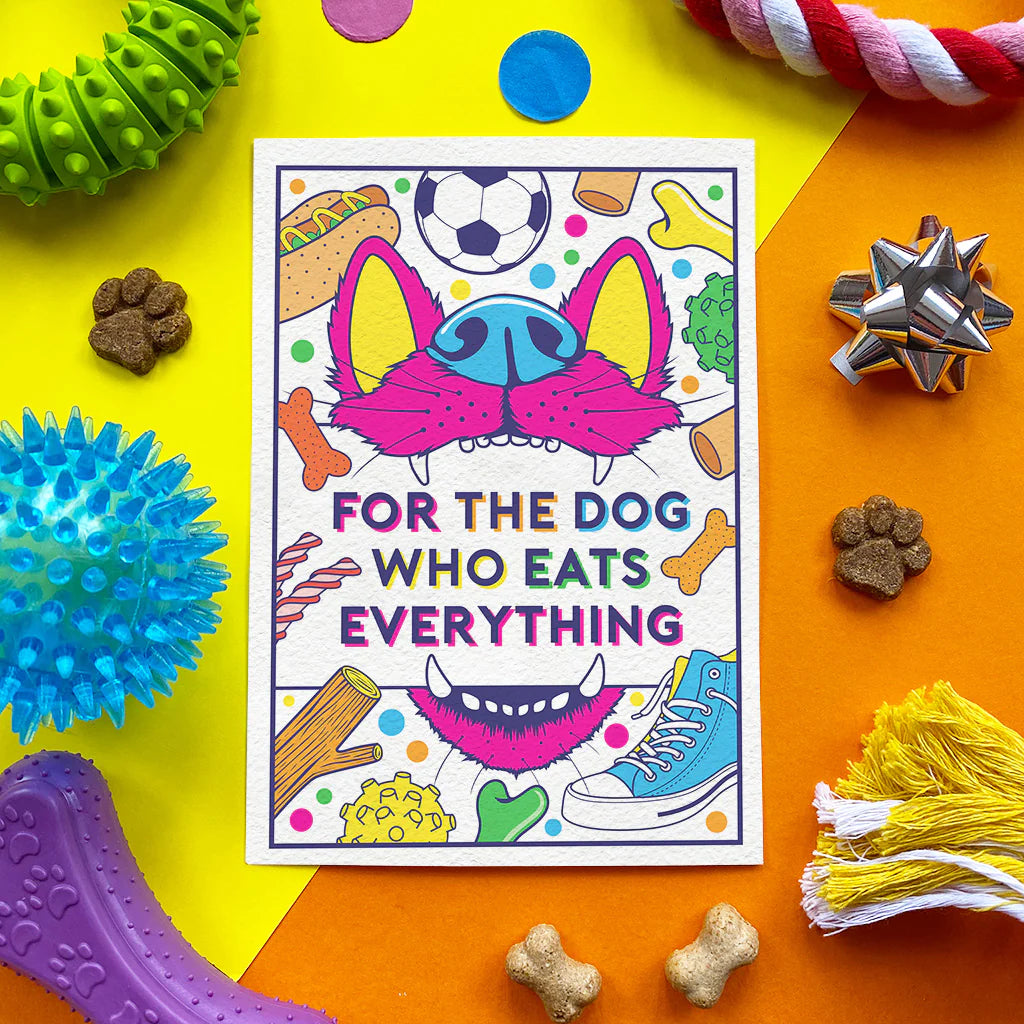 Scoff Paper Dog Who Eats Everything Chicken Flavored Edible Card for Dogs