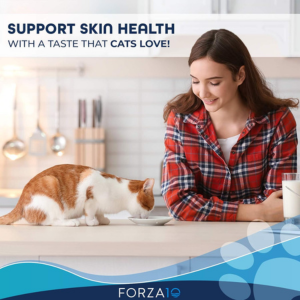 Forza10 Nutraceutic Active Dermo Dry Cat Food - Mutts & Co.
