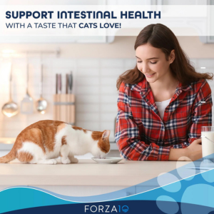 Forza10 Nutraceutic Active Intestinal Support Diet Dry Cat Food 1 lbs