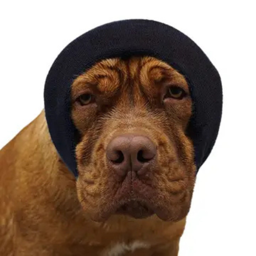 Happy Hoodie Calming Cap for Dogs