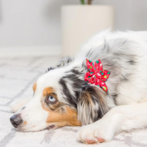 Huxley & Kent Christmas Trees Pinwheel For Dogs & Cats
