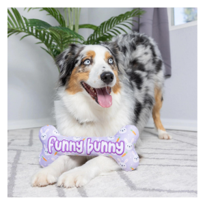 Huxley & Kent Funny Bunny Bone Plush Dog Toy