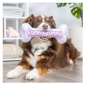 Huxley & Kent Funny Bunny Bone Plush Dog Toy