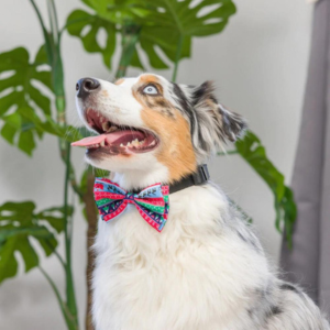 Huxley & Kent Ugly Sweater Bow Tie For Dogs & Cats - Mutts & Co.