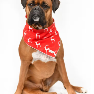 Kendall Wags The Red Reindeer Holiday Dog Bandana - Mutts & Co.