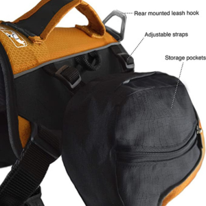 Kurgo Baxter Backpack Black & Orange