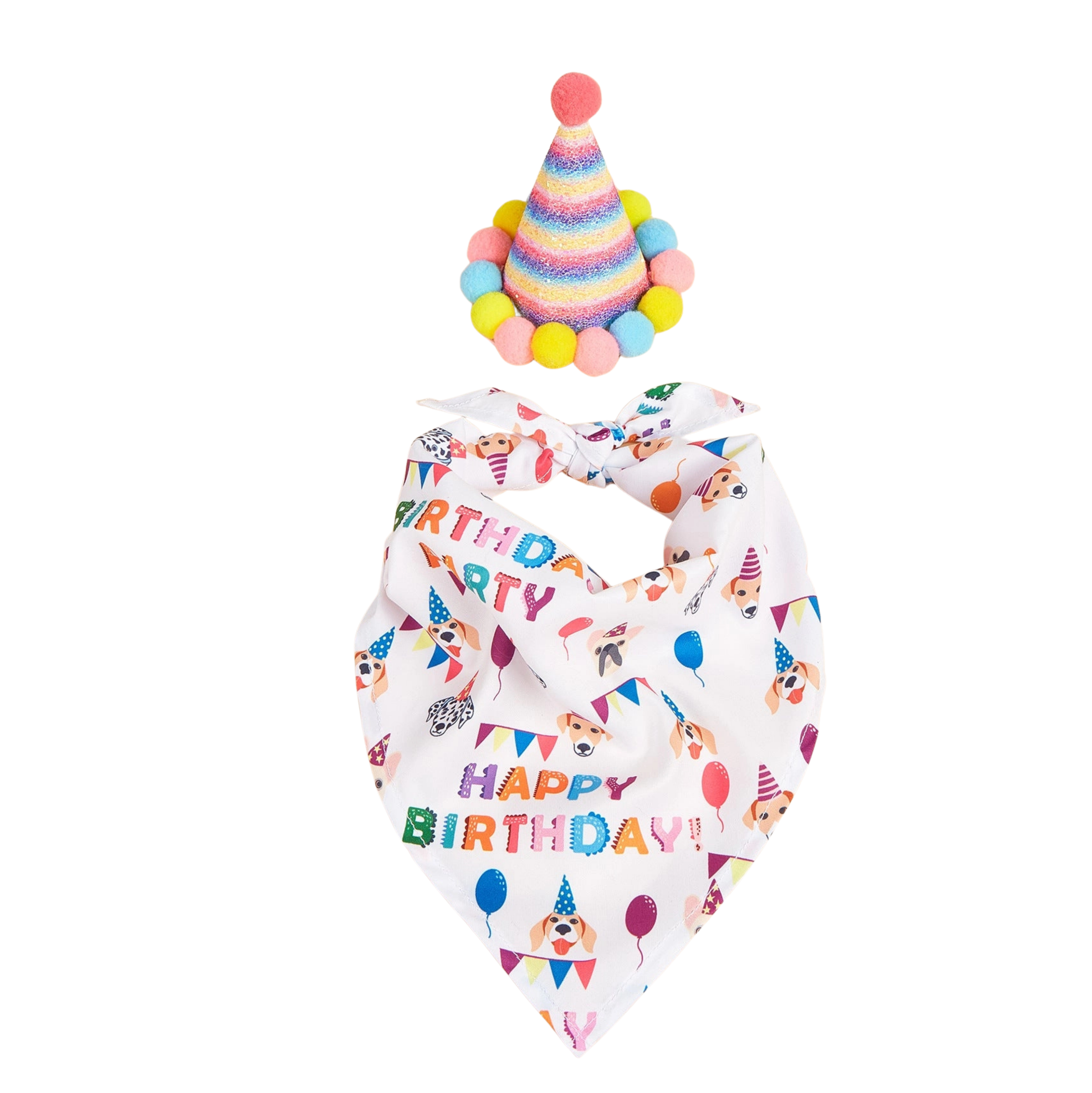Little Trendy Rainbow Pet Party Hat & Happy Birthday Pet Bandana
