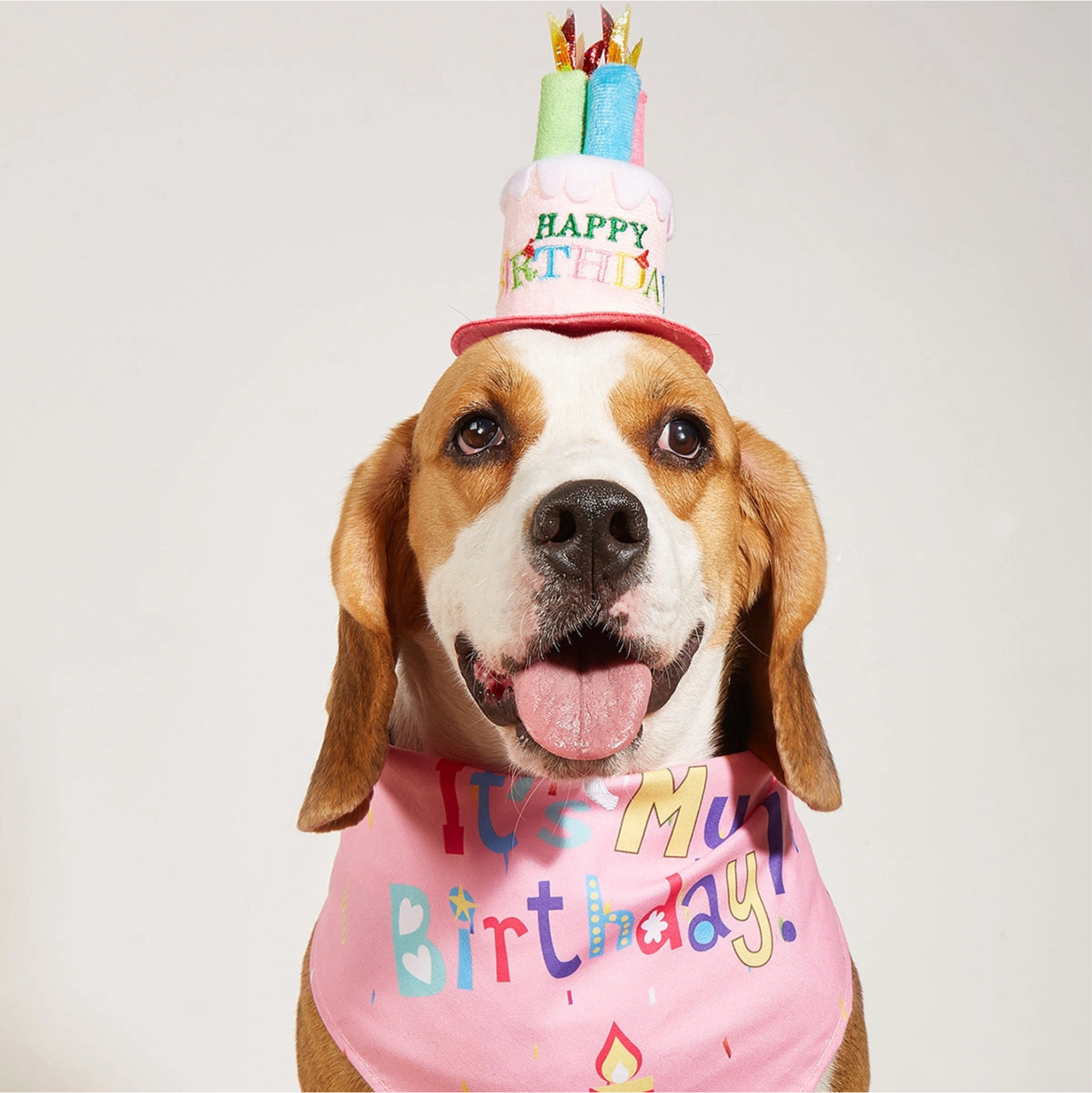 Little Trendy Pink Pet Party Hat with Candles & It's My Birthday Pet Bandana
