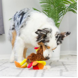 LuluBelle's Power Plush Wishbone Turkey Dog Toy - Mutts & Co.