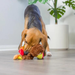 LuluBelle's Power Plush Wishbone Turkey Dog Toy - Mutts & Co.