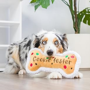 Lulubelles Power Plush Cookie Tester Bone Dog Toy - Mutts & Co.