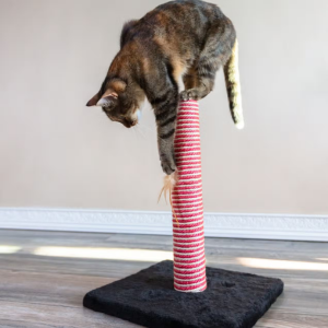 Midlee Designs Candy Cane Christmas Cat Scratcher Post - Mutts & Co.