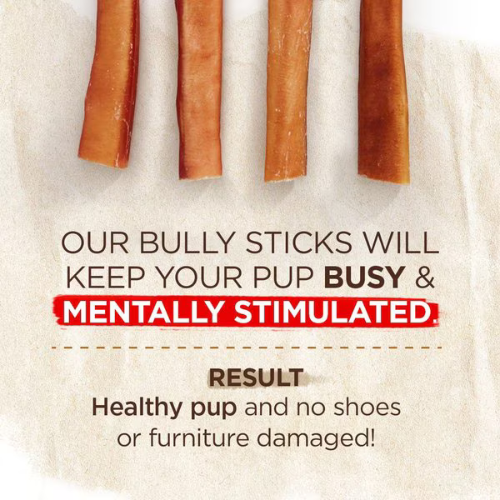 Natural Farm Odor Free Jumbo Bully Stick 12"