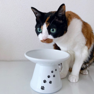 Necoichi Extra Wide Raised Cat Food Bowl
