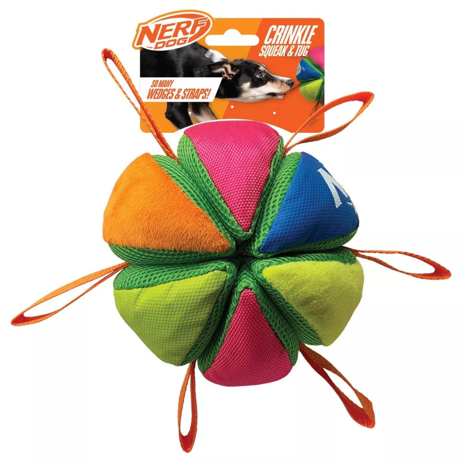Nerf Dog Squeak & Crunch Wedge Dog Toy with Straps, 5.5"