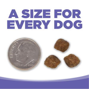 NutriSource Small & Medium Breed Puppy Chicken & Rice Formula Dry Dog Food