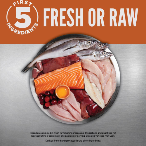 Orijen Small Breed Puppy Dry Dog Food