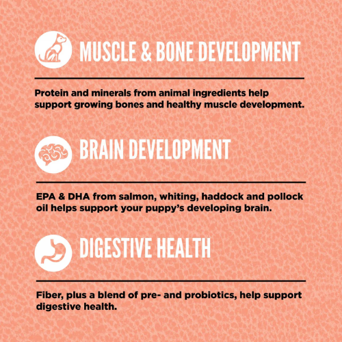 Orijen Small Breed Puppy Dry Dog Food