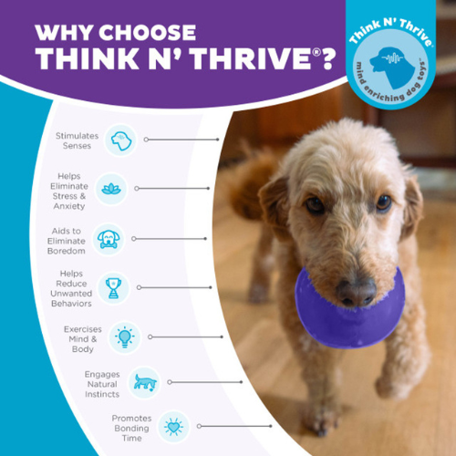 Outward Hound by Planet Dog Lil Snoop Interactive Treat Dog Toy