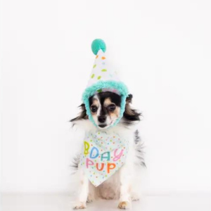 Pearhead Birthday Pup Small / Medium Bandana & Hat Set - Mutts & Co.