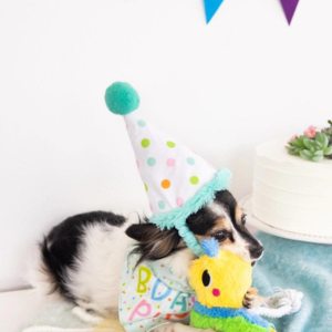 Pearhead Birthday Pup Small / Medium Bandana & Hat Set