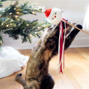 Pearhead Holiday Santa Cat Teaser - Mutts & Co.