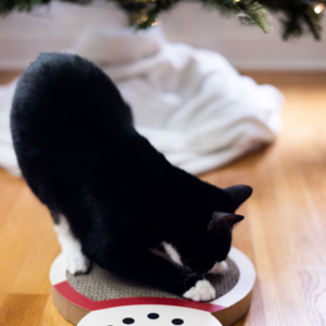 Pearhead Holiday Snowman Cat Scratch Pad - Mutts & Co.