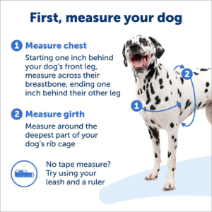 PetSafe Easy Walk Dog Harness Blue - Mutts & Co.