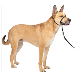 PetSafe Premier Gentle Leader Quick Release Dog Headcollar