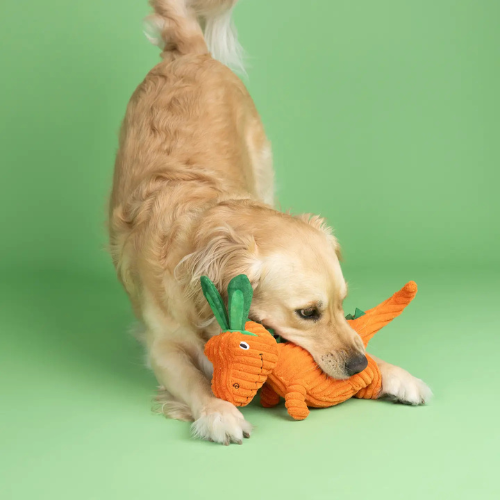 Pet Shop by Fringe Studio Carrot 'Bout You Rex Plush Dog Toy