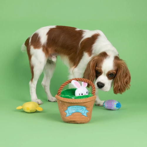 Pet Shop by Fringe Studio Egg Hunt Squad Hide N Seek 3 Piece Set Dog Toy