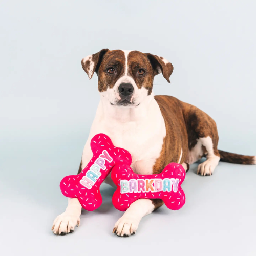 Pet Shop by Fringe Studio It's My Barkday 2-Piece Set Plush Dog Toy