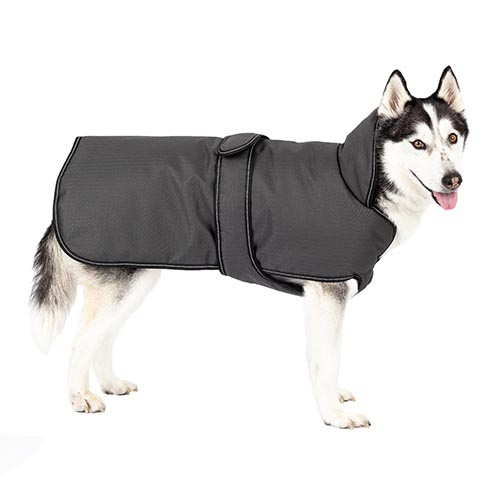 Petrageous Juneau Dog Coat, Charcoal