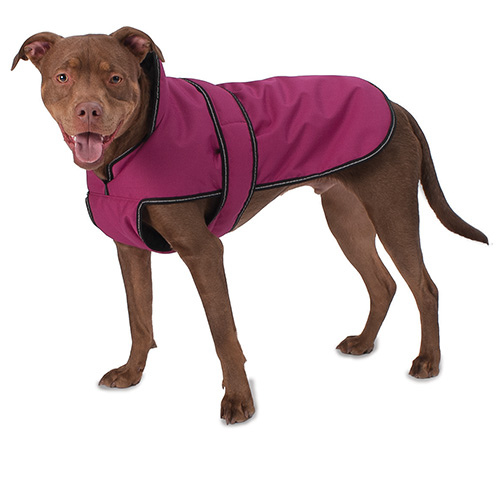 Petrageous Juneau Insulated Dog Jacket, Magenta