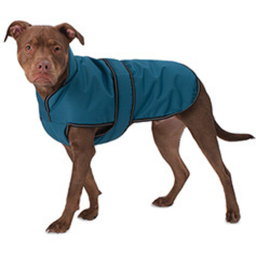 Petrageous Juneau Insulated Dog Jacket, Teal