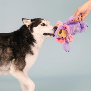 Pet Shop by Fringe Studio I'll Grow On You Plush Dog Toy - Mutts & Co.