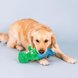 Pet Shop by Fringe Studio Mer-Rex Plush Dog Toy - Mutts & Co.