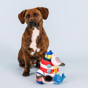 Pet Shop by Fringe Studio Ships Ahoy Hide & Seek Burrow Dog Toy