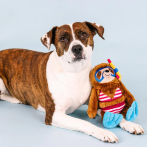 Pet Shop by Fringe Studio Swimmin' With The Fishes Plush Dog Toy - Mutts & Co.