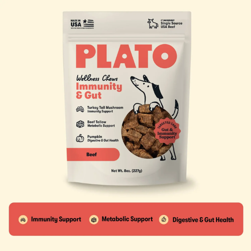 Plato Wellness Chews Immunity & Gut