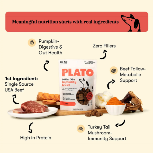 Plato Wellness Chews Immunity & Gut
